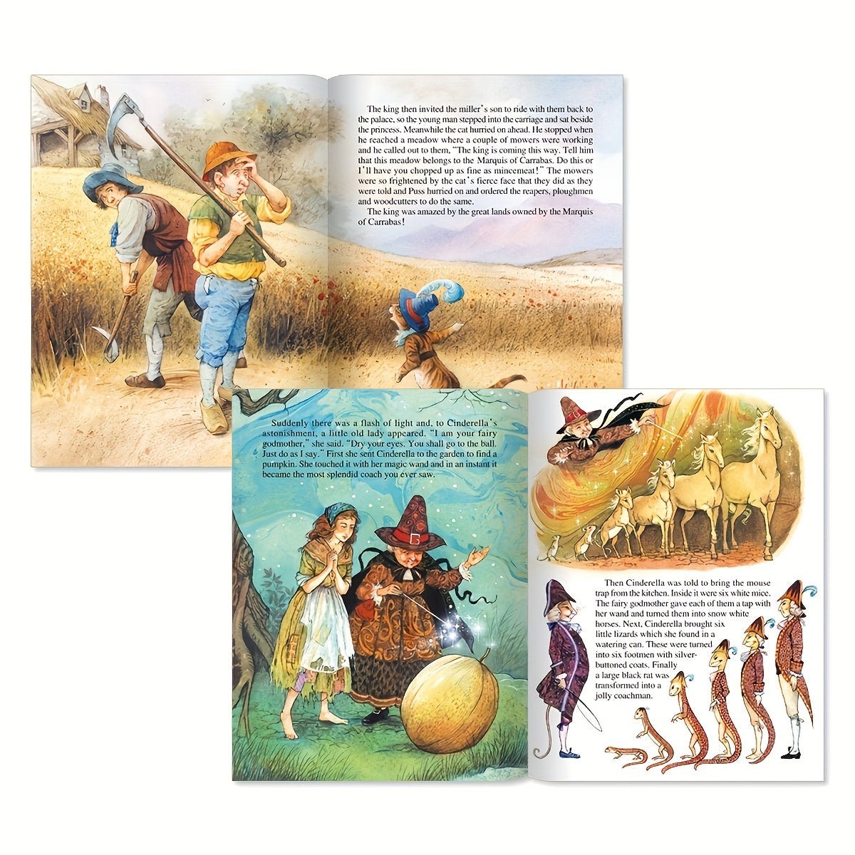 Cat Shop Boys - [8 Fairy Tales English Bedtime] Set Of 8 English Grimm Fairy Tales And Children's Bedtime Fairy Tales