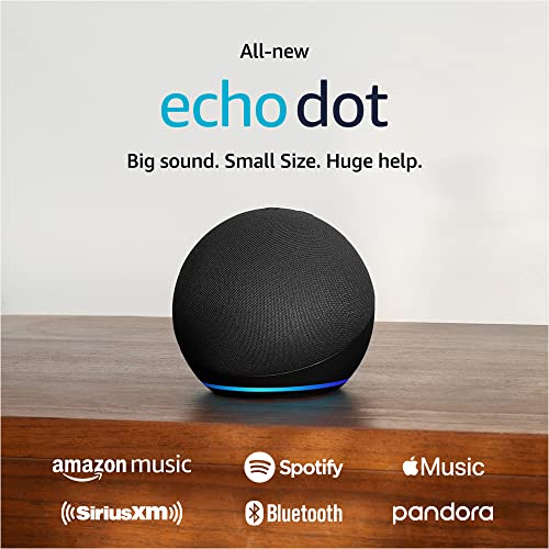 Cat Shop Boys - Amazon Echo Dot (newest model), With bigger vibrant sound, helpful routines and Alexa, Charcoal