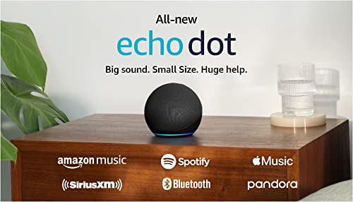 Cat Shop Boys - Amazon Echo Dot (newest model), With bigger vibrant sound, helpful routines and Alexa, Charcoal