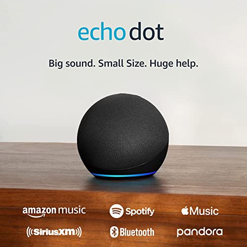 Cat Shop Boys - Amazon Echo Dot (newest model), With bigger vibrant sound, helpful routines and Alexa, Charcoal