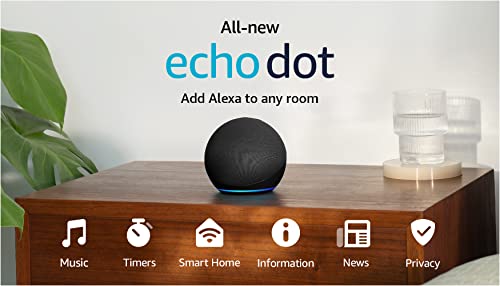 Cat Shop Boys - Amazon Echo Dot (newest model), With bigger vibrant sound, helpful routines and Alexa, Charcoal