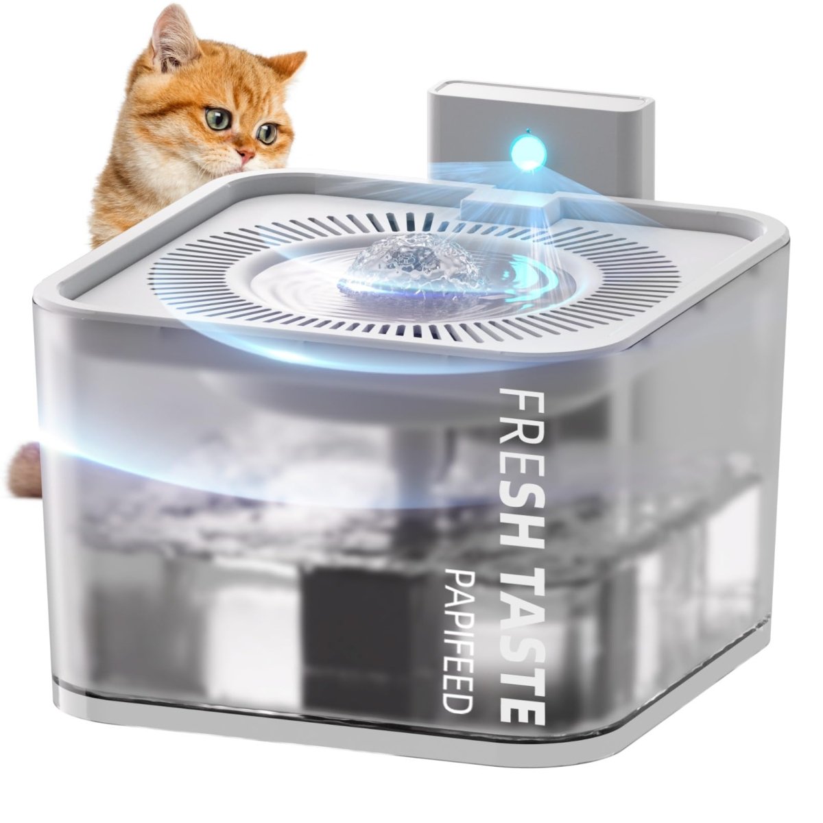 Cat Shop Boys - PAPIFEED Silent Leak Proof Cat Drinking Fountain 3 Liter Large Capacity, Semi - Transparent Visible Water Tank with Motion Sensor Function, Detachable Cat Fountain.