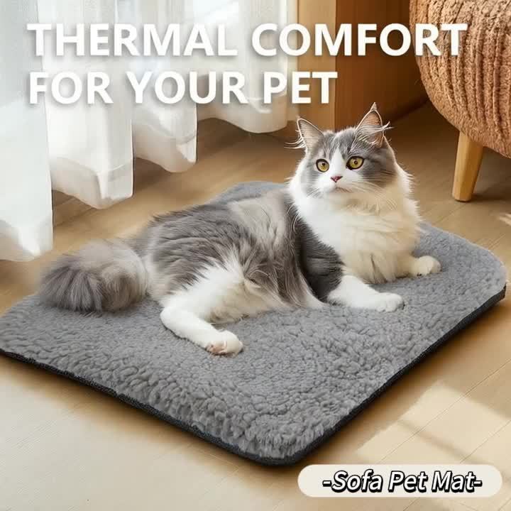 Cat Shop Boys - Super Soft Self Warming Small Medium Cat Dog Bed, Thermal Washable Anti - Slip Self Heating Pet Kennel Pad for Indoor Outdoor Sleeping