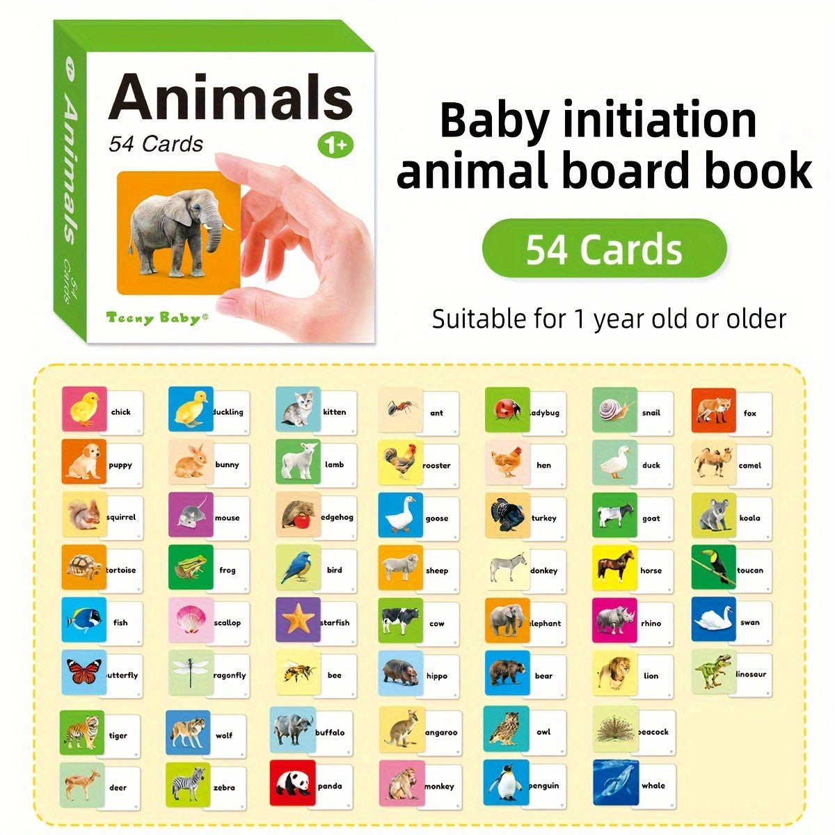 Cat Shop Boys - Teeny Baby® Animals Flashcards: 54 Cards with Vibrant Animal Images and English Words for Early Learning