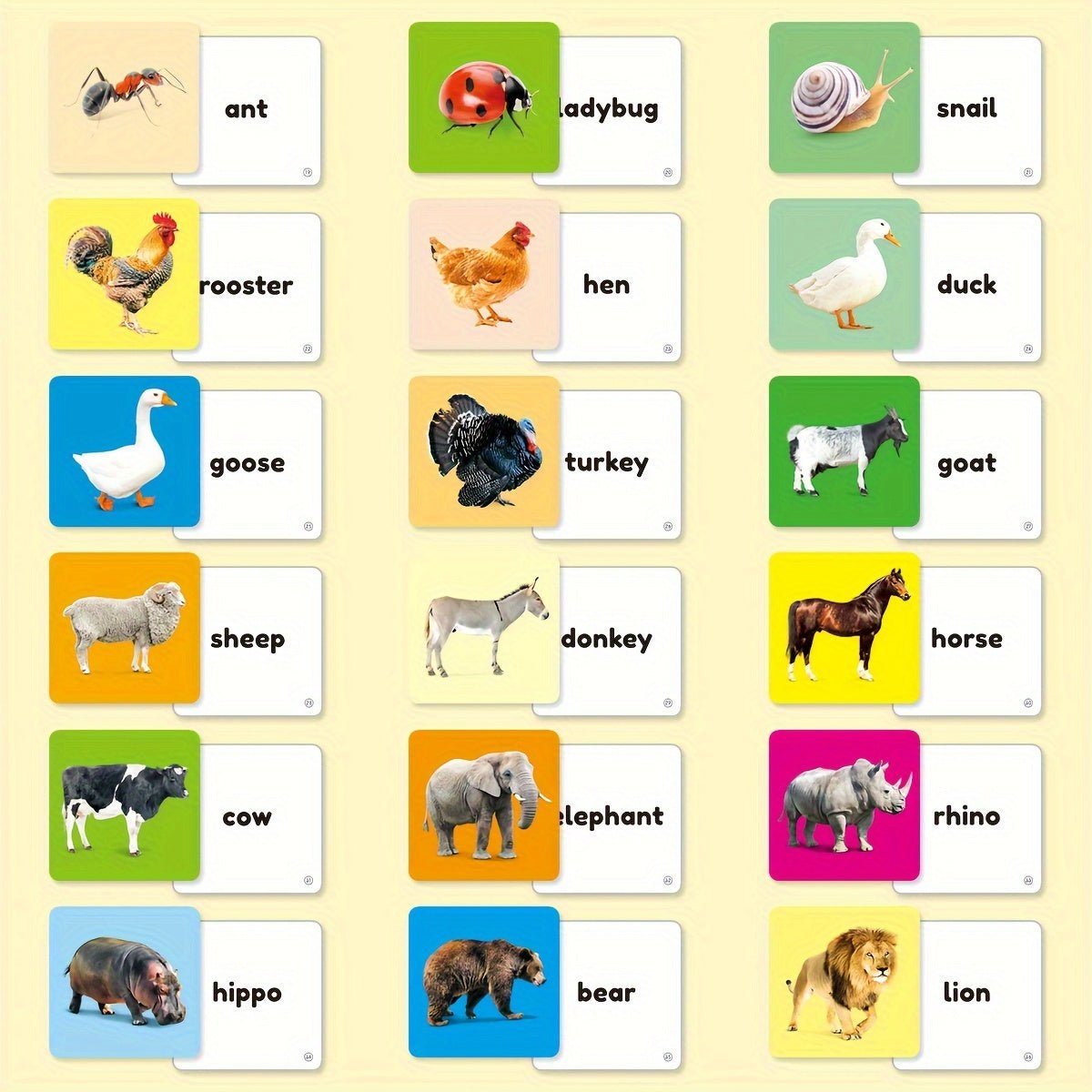 Cat Shop Boys - Teeny Baby® Animals Flashcards: 54 Cards with Vibrant Animal Images and English Words for Early Learning