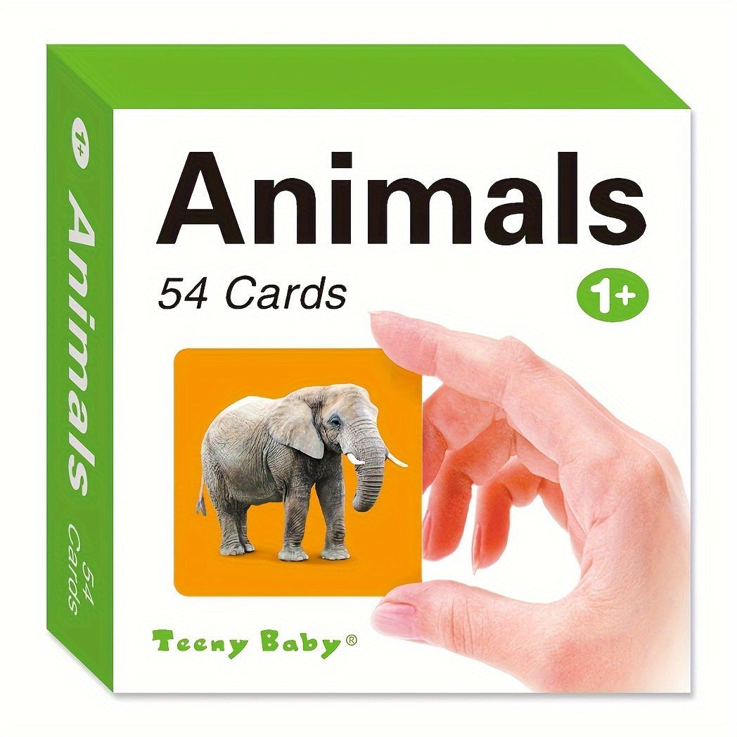 Cat Shop Boys - Teeny Baby® Animals Flashcards: 54 Cards with Vibrant Animal Images and English Words for Early Learning