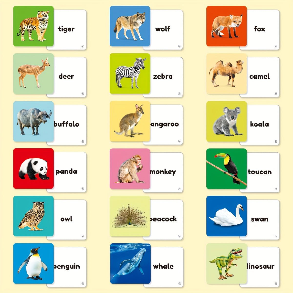 Cat Shop Boys - Teeny Baby® Animals Flashcards: 54 Cards with Vibrant Animal Images and English Words for Early Learning