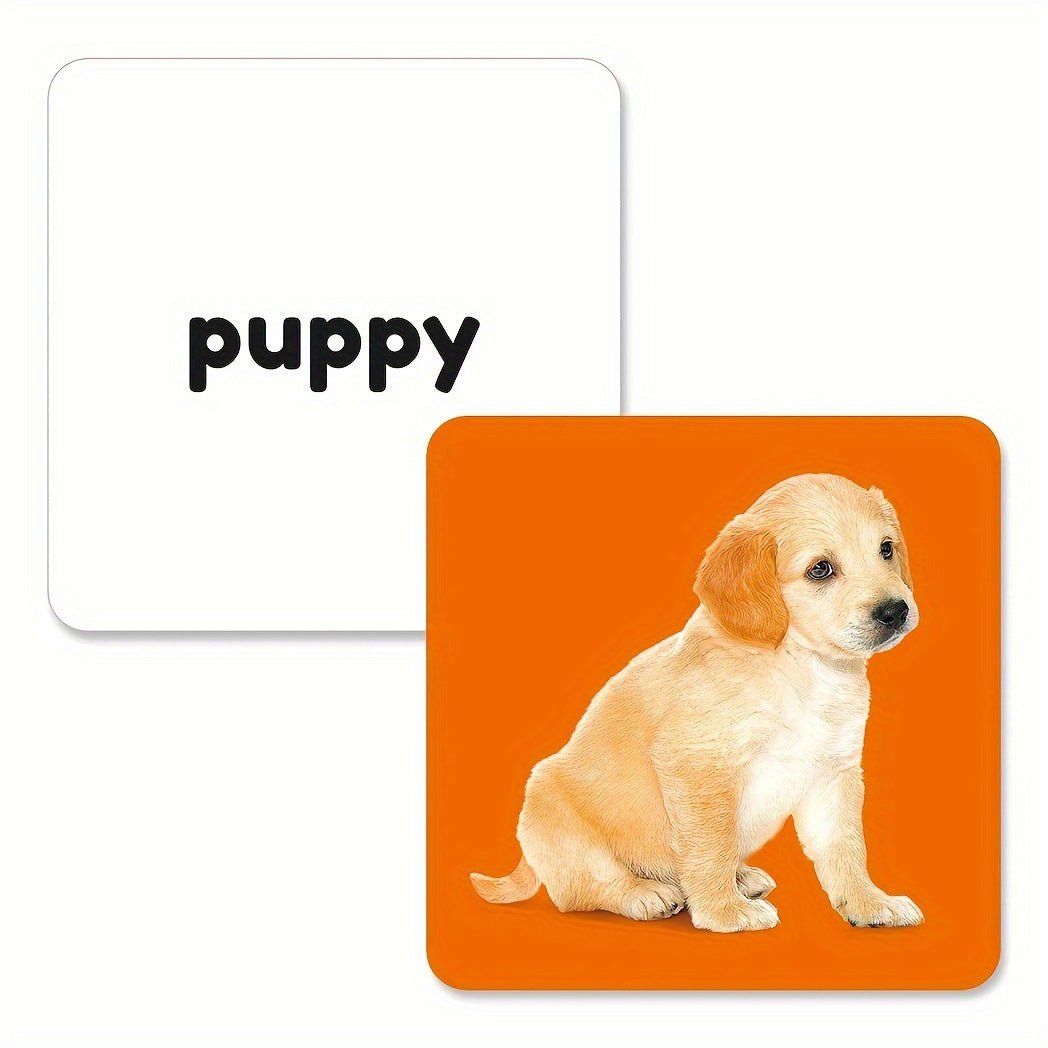 Cat Shop Boys - Teeny Baby® Animals Flashcards: 54 Cards with Vibrant Animal Images and English Words for Early Learning