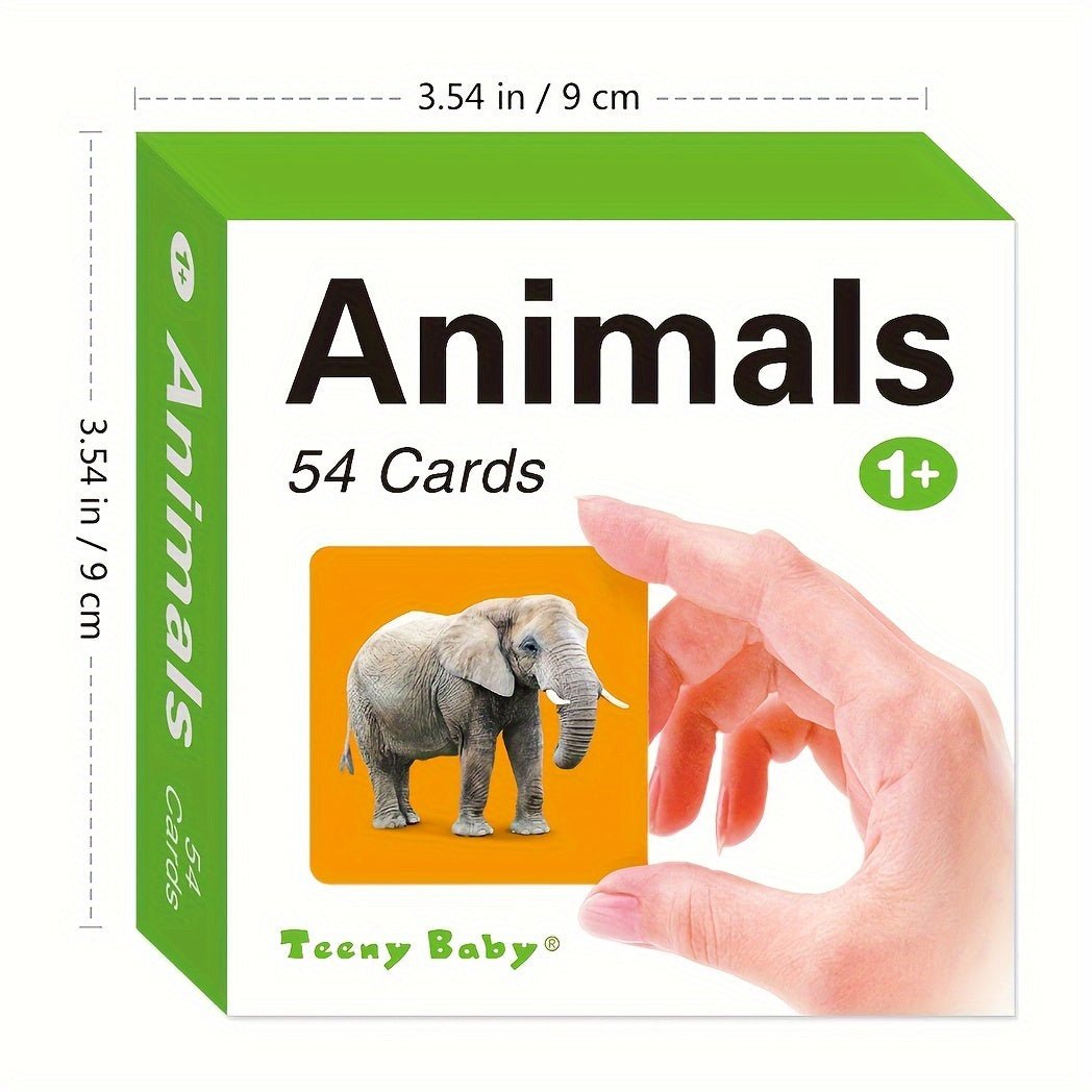 Cat Shop Boys - Teeny Baby® Animals Flashcards: 54 Cards with Vibrant Animal Images and English Words for Early Learning